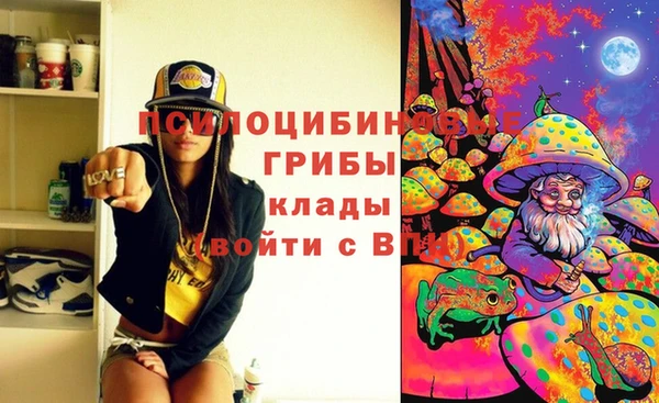 ECSTASY Абаза