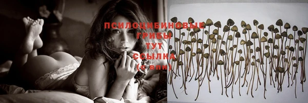ECSTASY Абаза