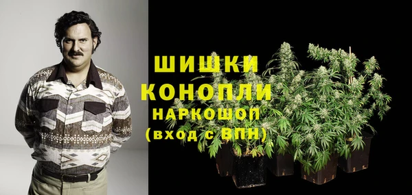СК Покачи
