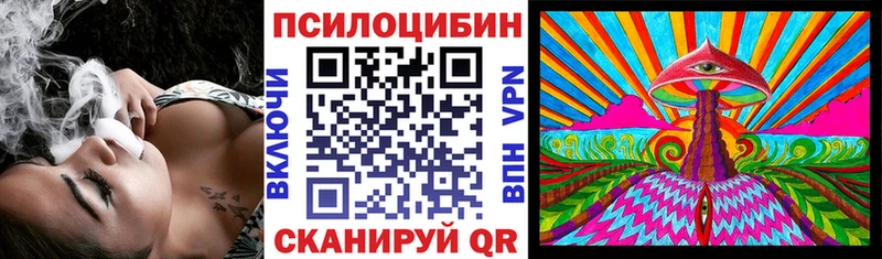 что такое   Альметьевск  Псилоцибиновые грибы MAGIC MUSHROOMS 