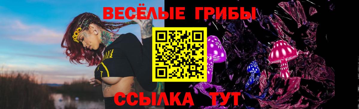 Альметьевск  Галлюциногенные грибы ЛСД  Вход с VPN 